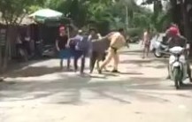 Bi bat vi pham giao thong, thanh nien ru ban danh canh sat hinh anh