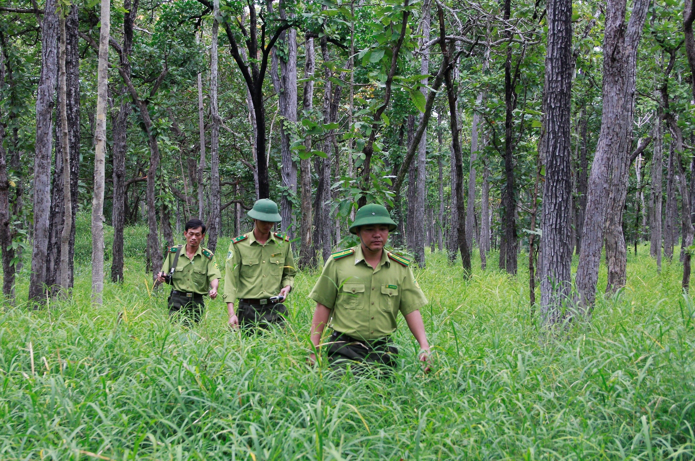 An tet giua rung anh 1