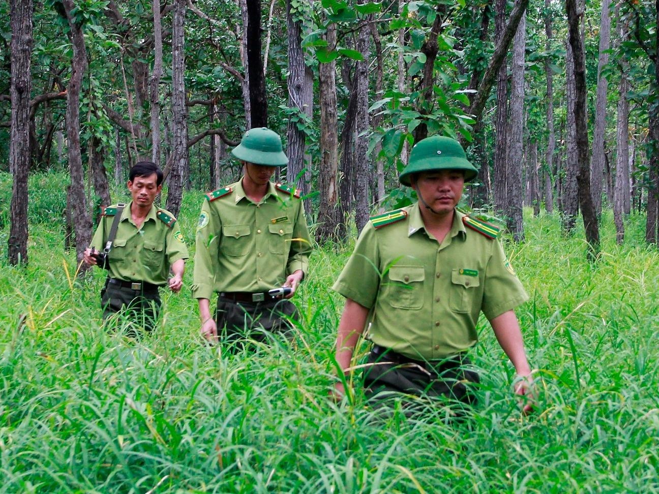 Nhung nguoi 'bo' gia dinh don Tet giua rung hinh anh