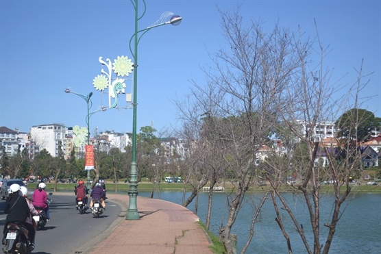 Huy le hoi hoa anh dao vi hoa khong no hinh anh