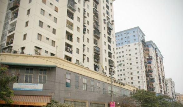 Chuot 'dai nao' chung cu Ha Noi: Kho lam nhung bo tay hinh anh