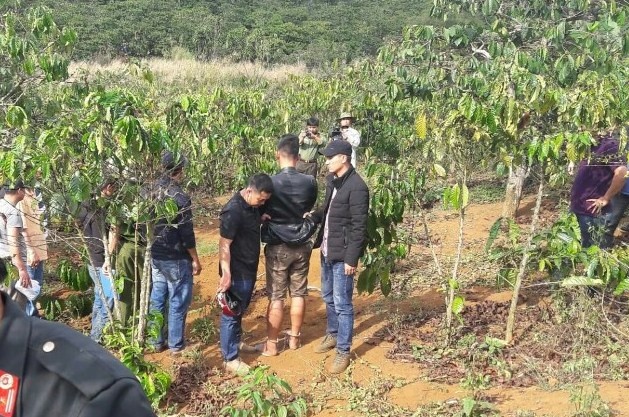 Giết người giấu xác trong rẫy cà phê ảnh 2 Giet nguoi giau xac trong ray ca phe anh 2