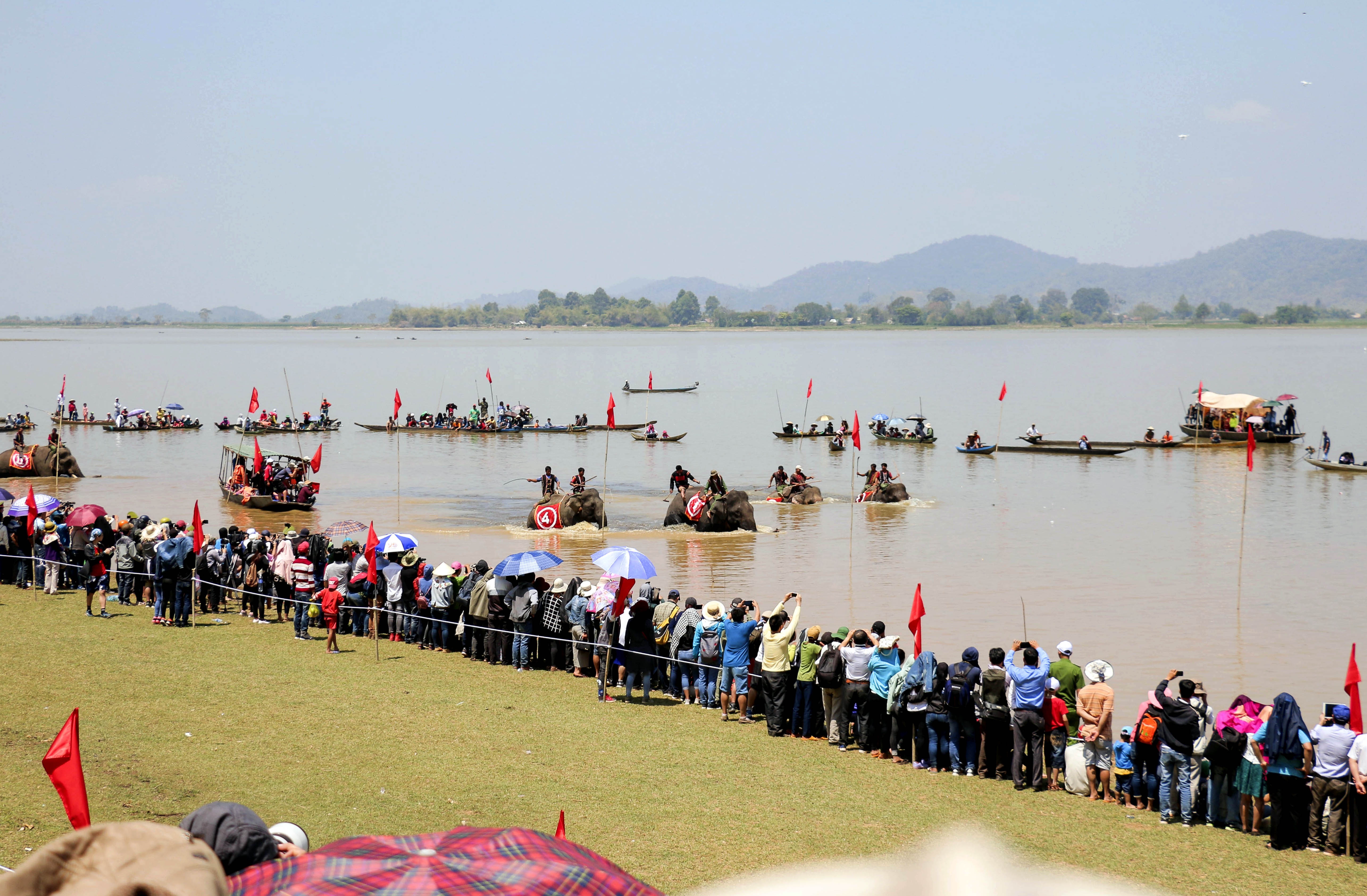 Dua voi tai Dak Lak anh 12