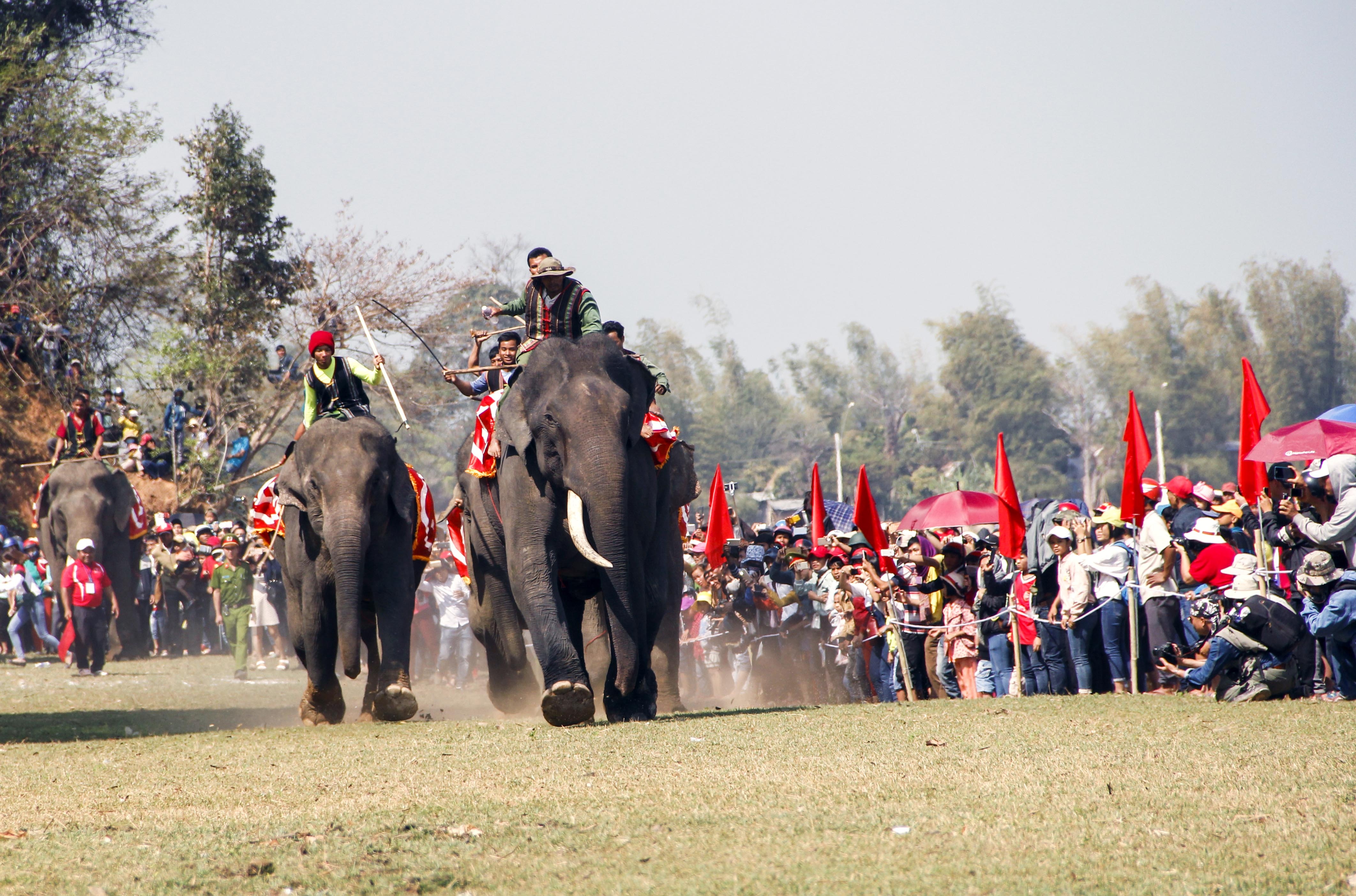 Doc dao le hoi dua voi hinh anh