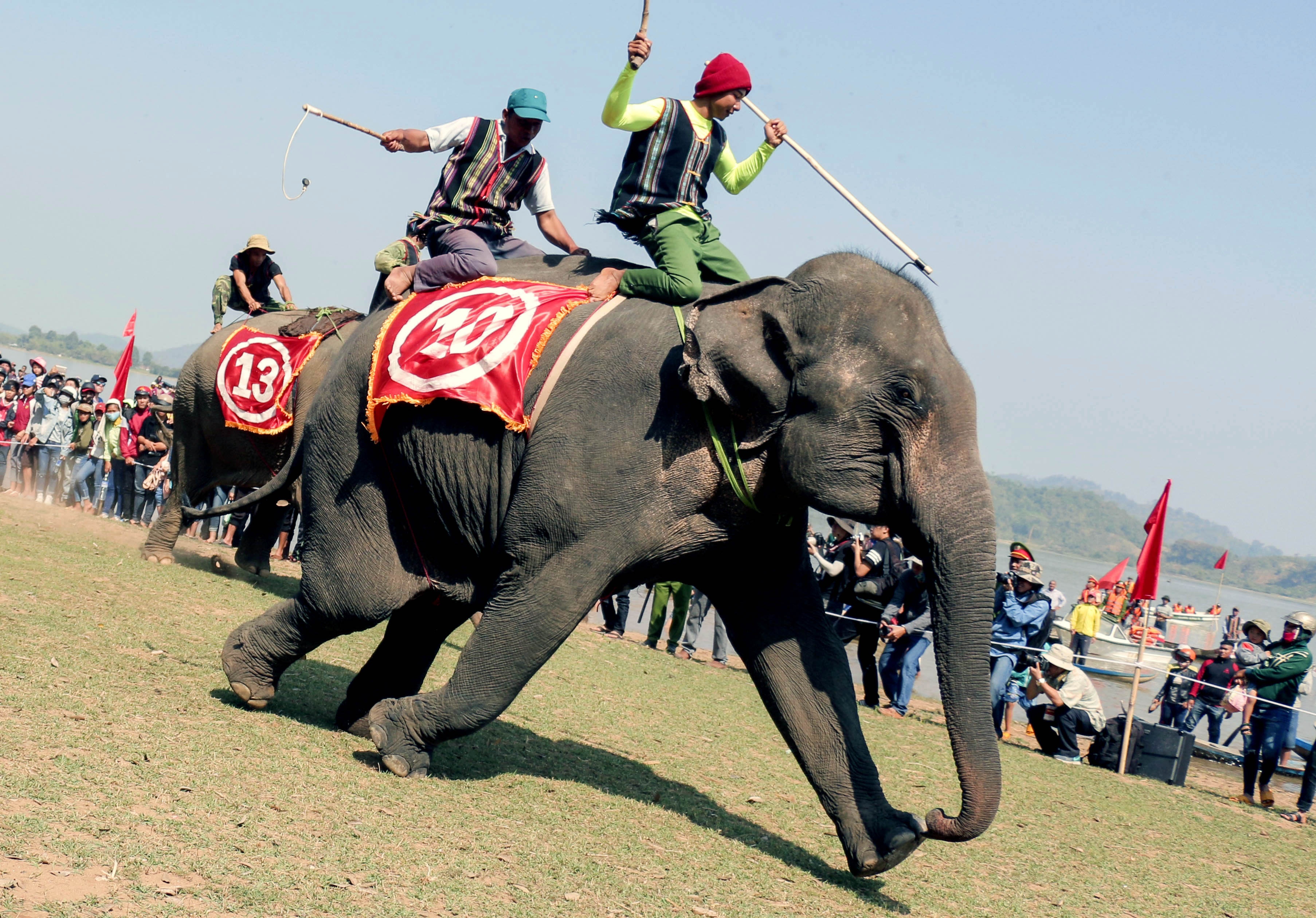 Hang nghin nguoi doi nang xem dua voi hinh anh