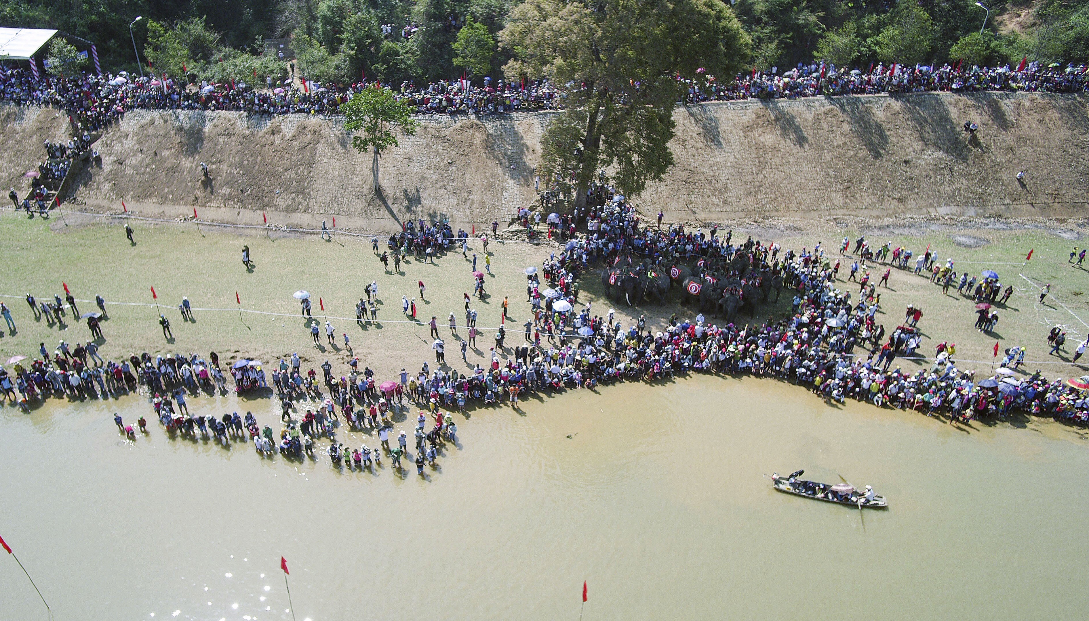 Dua voi tai Dak Lak anh 1