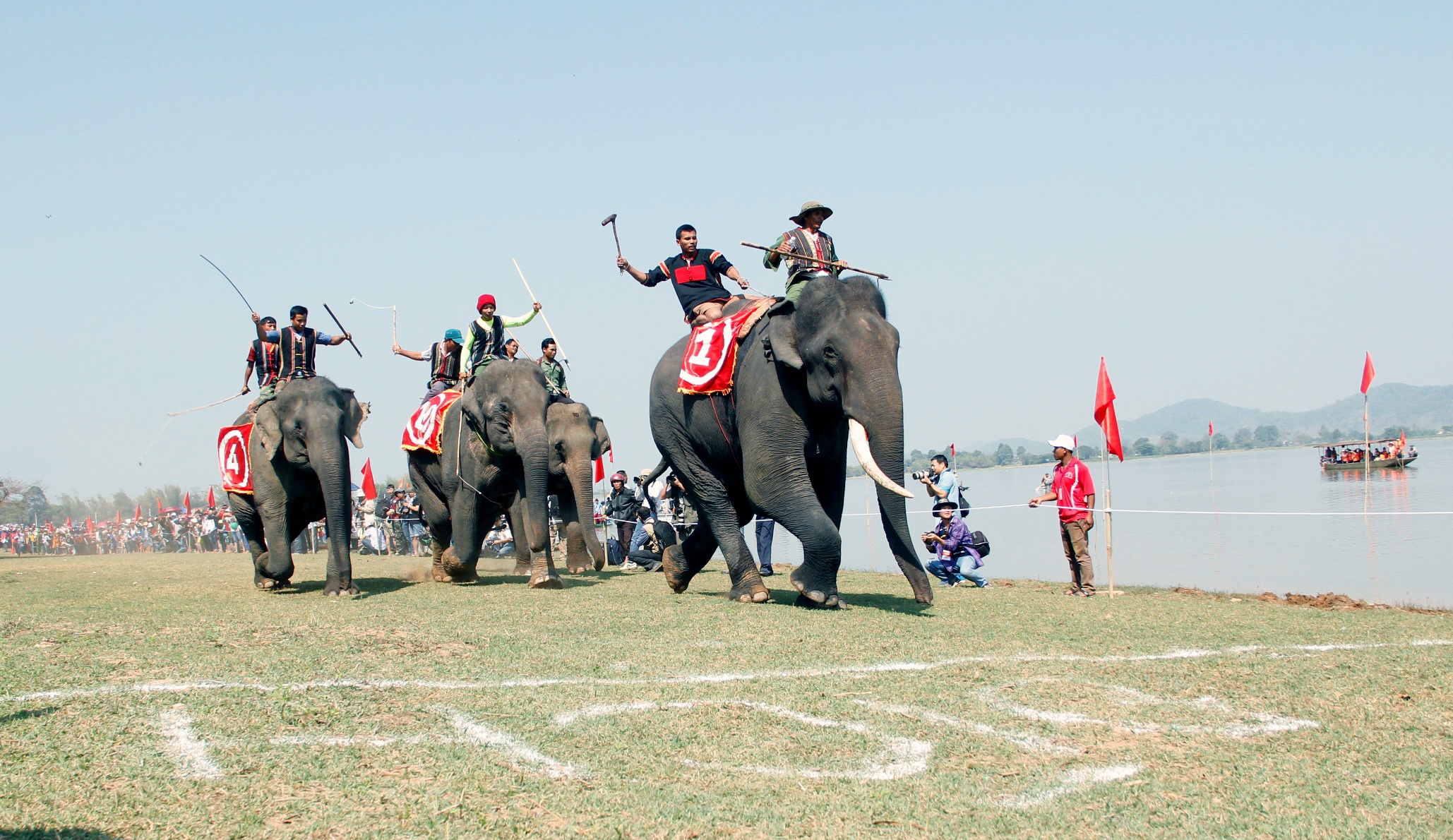 Dua voi tai Dak Lak anh 9