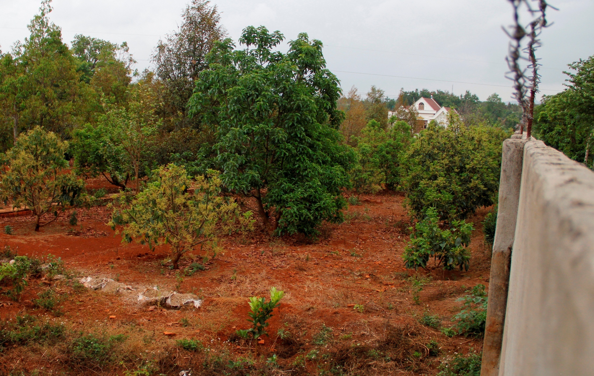 Biet thu gia dinh Pho Ban noi chinh anh 2