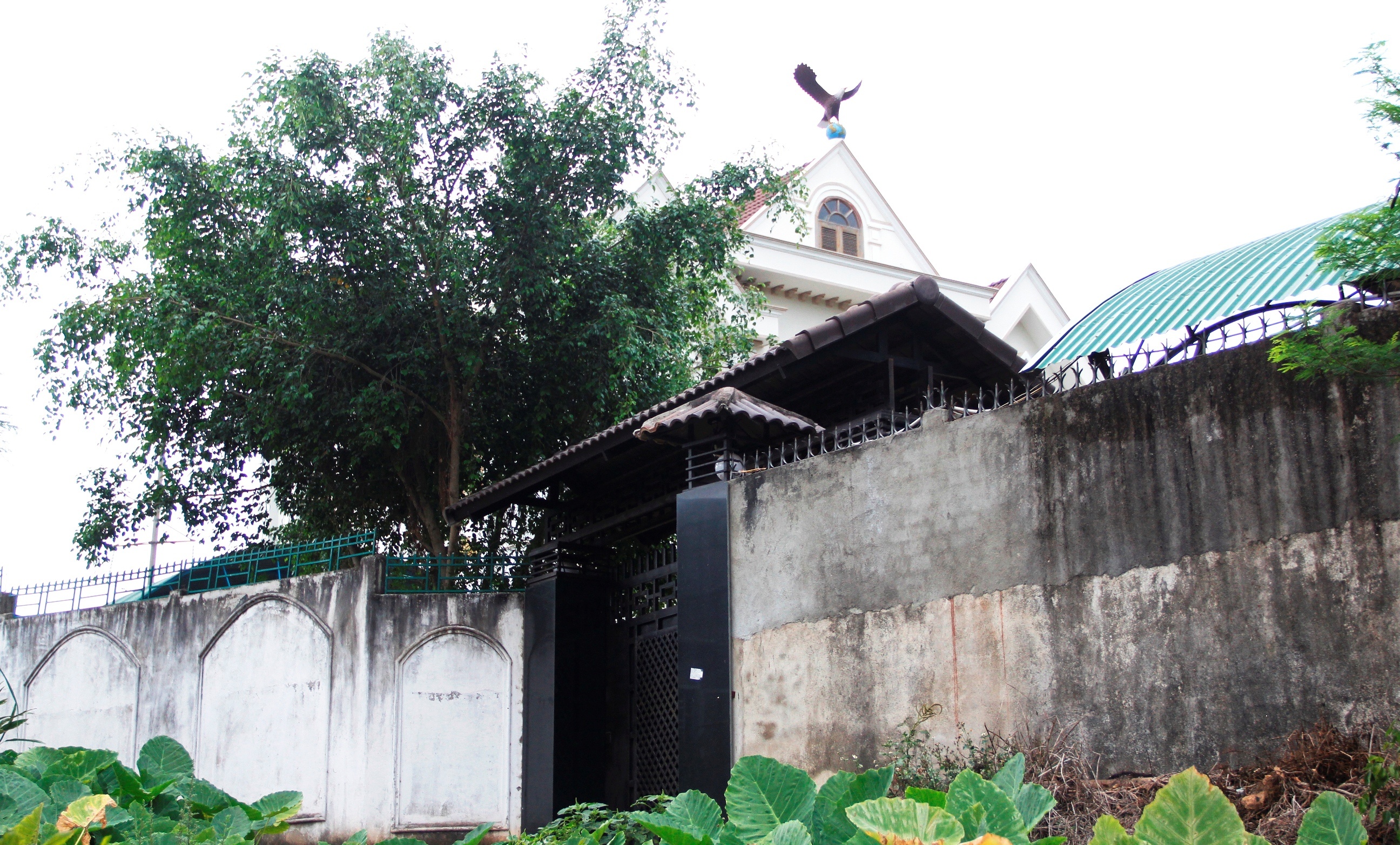 Ong Nguyen Sy Ky thua nhan xay biet thu tren dat nong nghiep hinh anh