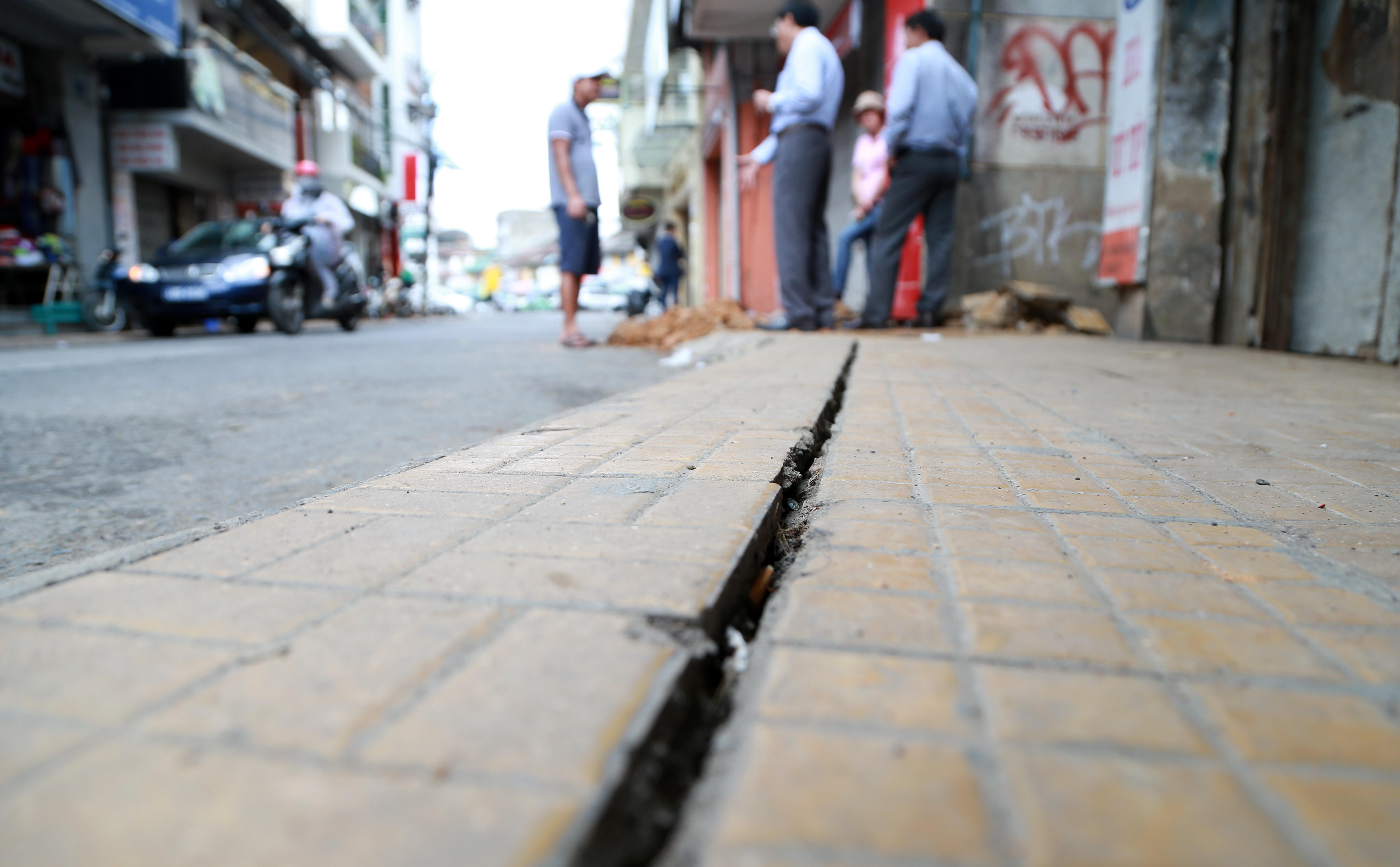 Nut dat tai Da Lat anh 1