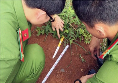 Bi chem chet khi danh bac hinh anh