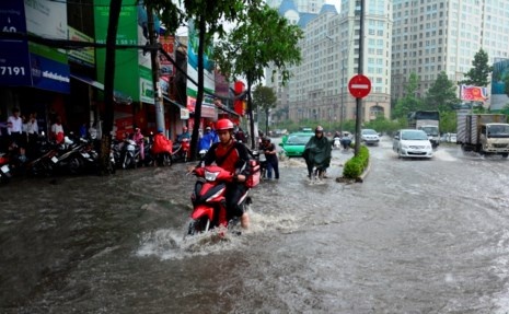 Du an chong ngap tai TP.HCM anh 2