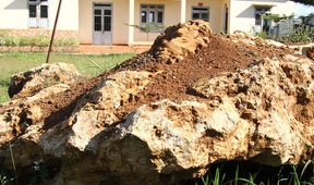 Giao tang da ban quy nang 20 tan cho khu du tru sinh quyen hinh anh