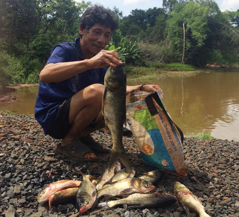 Gan 1 tan ca chet bat thuong ben cum cong nghiep hinh anh