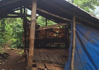 6 thanh nien bi bat sau chau nhau hinh anh