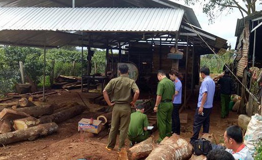 Thanh nien 22 tuoi bi may cua go cat doi co the hinh anh