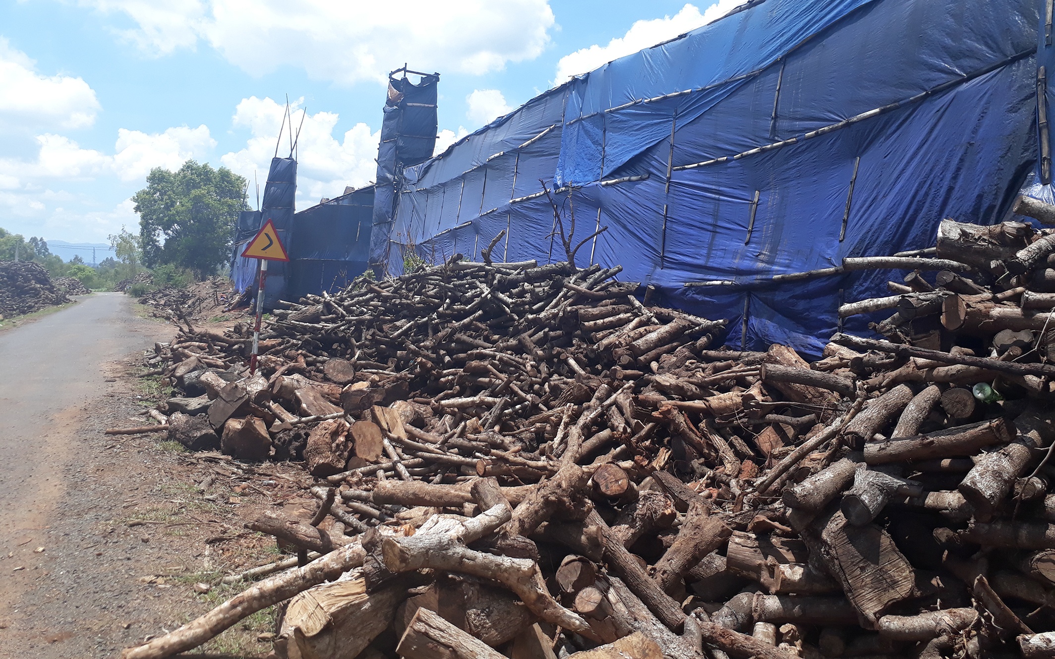 Nguoi dan than troi vi lo than gay o nhiem hinh anh