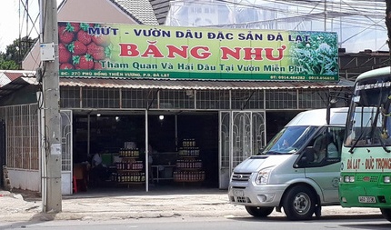 Cò du lịch chèo kéo khách ảnh 1 Co du lich cheo keo khach anh 1