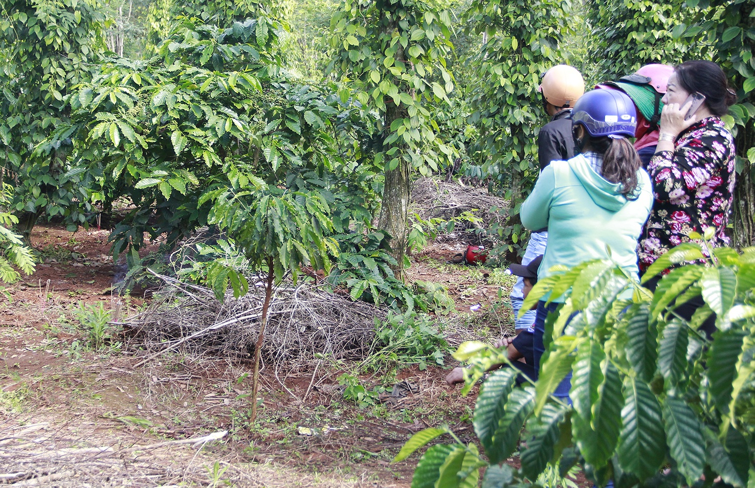 Thanh nien nghi uong thuoc tu tu trong ray ca phe hinh anh