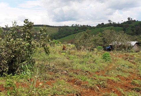 Lai xay ra xo xat giua bao ve Cong ty Long Son va nguoi dan hinh anh