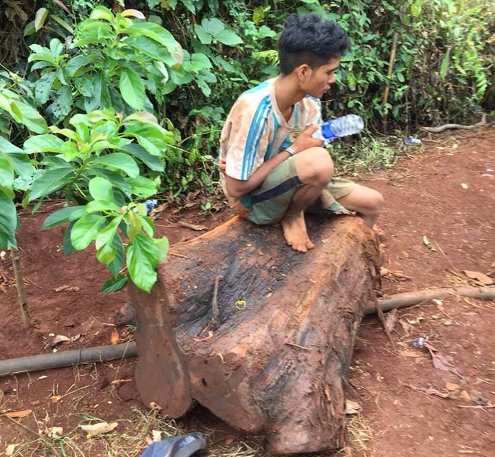 Trom thuy tung 500 tuoi anh 2