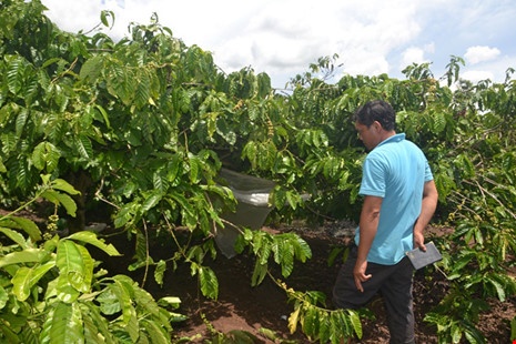Anh trai dung dao chem nguoi dan ong hiep dam em gai hinh anh