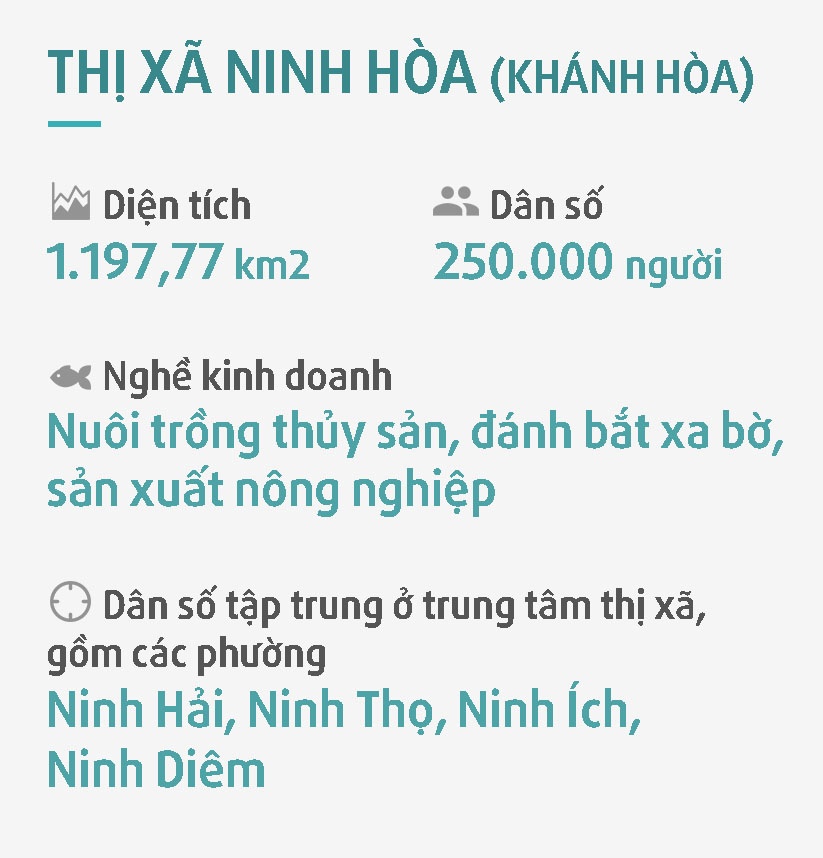 Ninh Hòa tan hoang sau bão số 12 ảnh 9 Ninh Hoa tan hoang sau bao so 12 anh 9