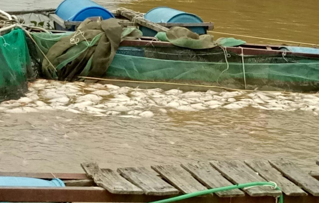 Hon 200 tan ca long cua nguoi dan chet sau bao so 12 hinh anh