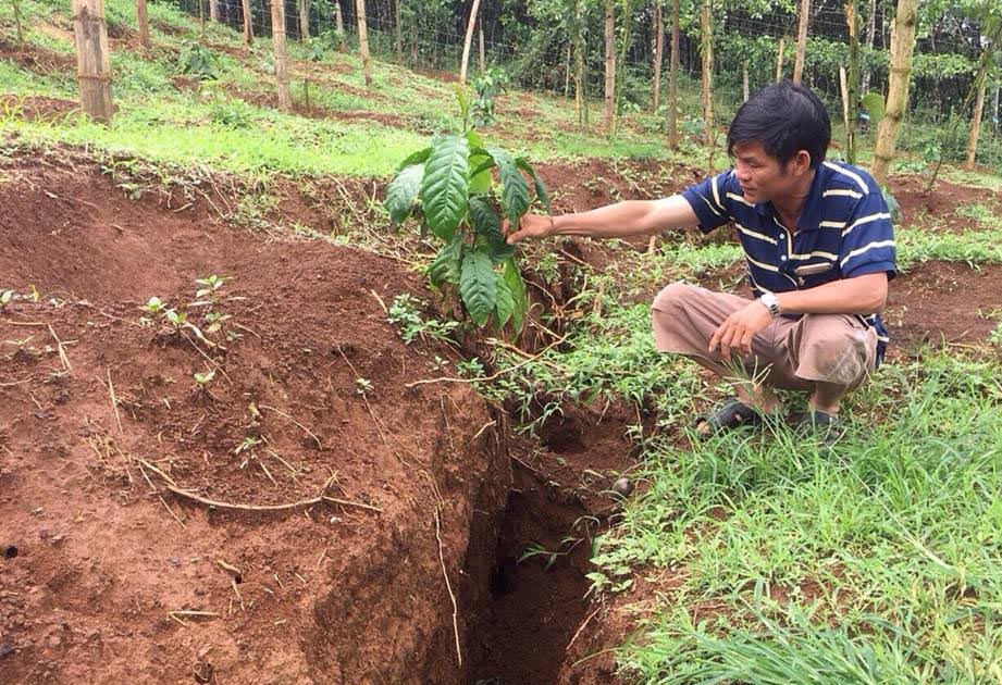 Xuat hien vet nut gan ho chua bun do Alumin Nhan Co hinh anh