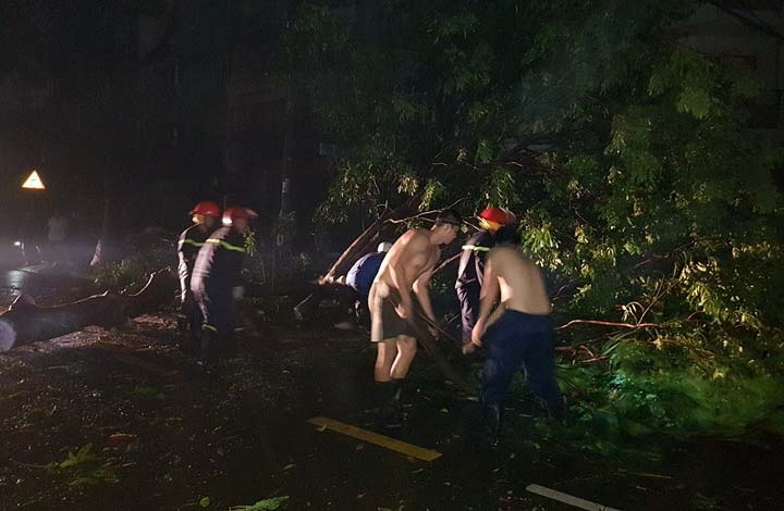 TP.HCM cay nga hang loat anh 1