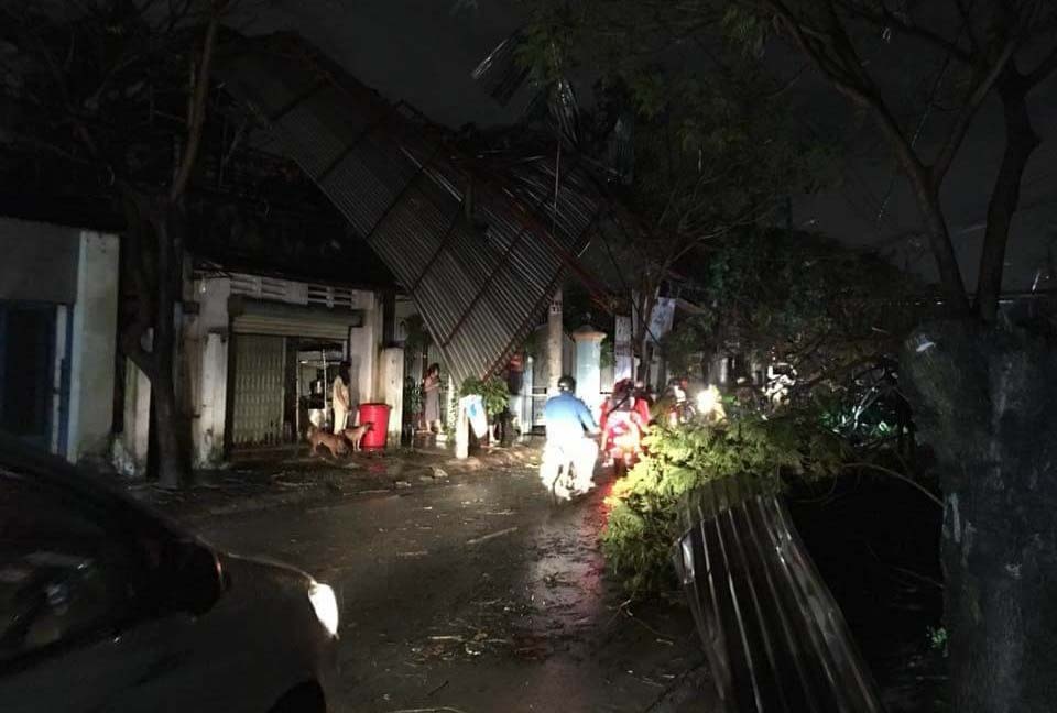 Cay nga hang loat tai TP.HCM hinh anh