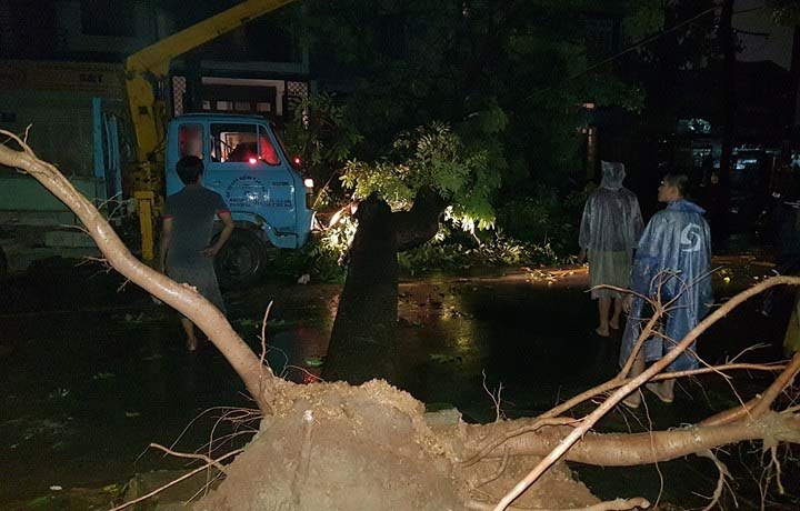 TP.HCM cay nga hang loat anh 2