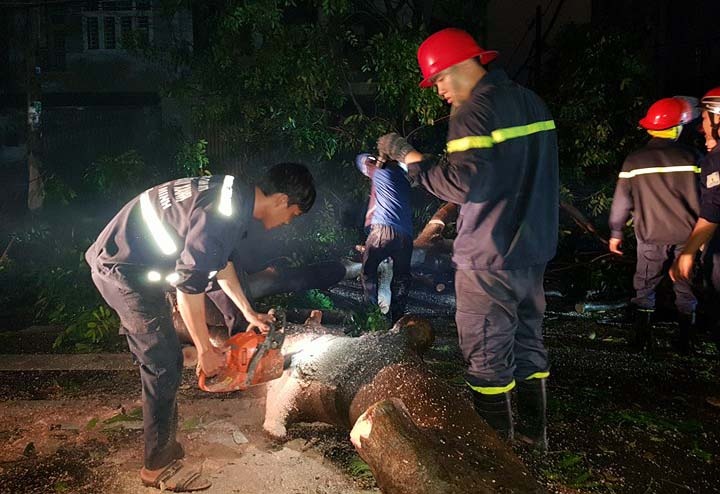 TP.HCM cay nga hang loat anh 3