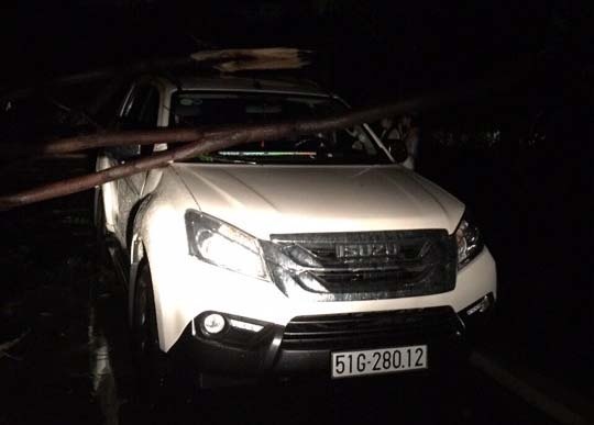 TP.HCM cay nga hang loat anh 6