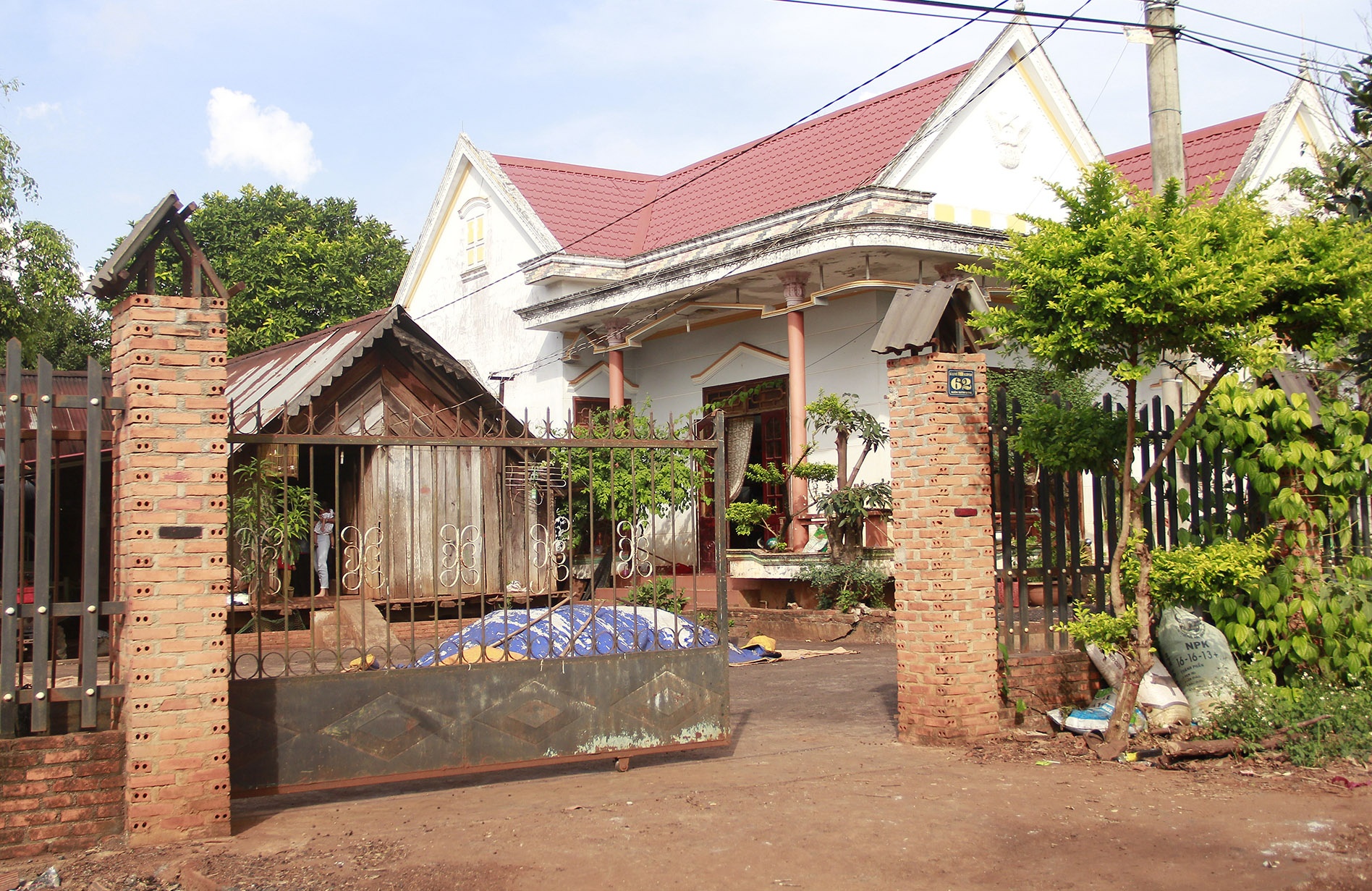 Hoa hau hoan vu 2017 anh 1