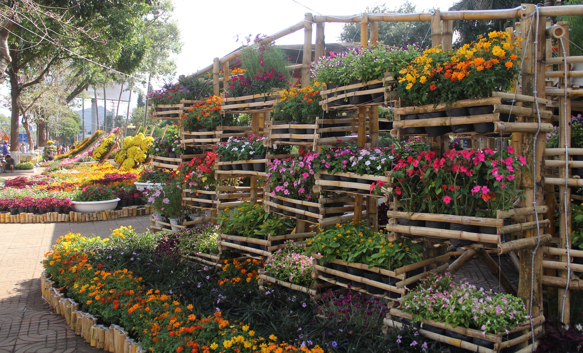 Duong hoa Dak Lak anh 5