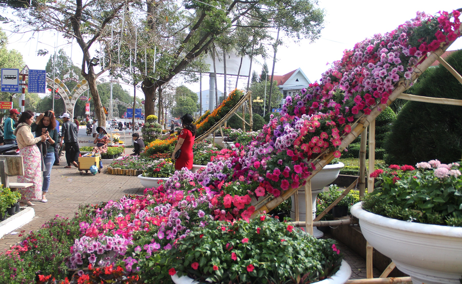 Duong hoa Dak Lak anh 4