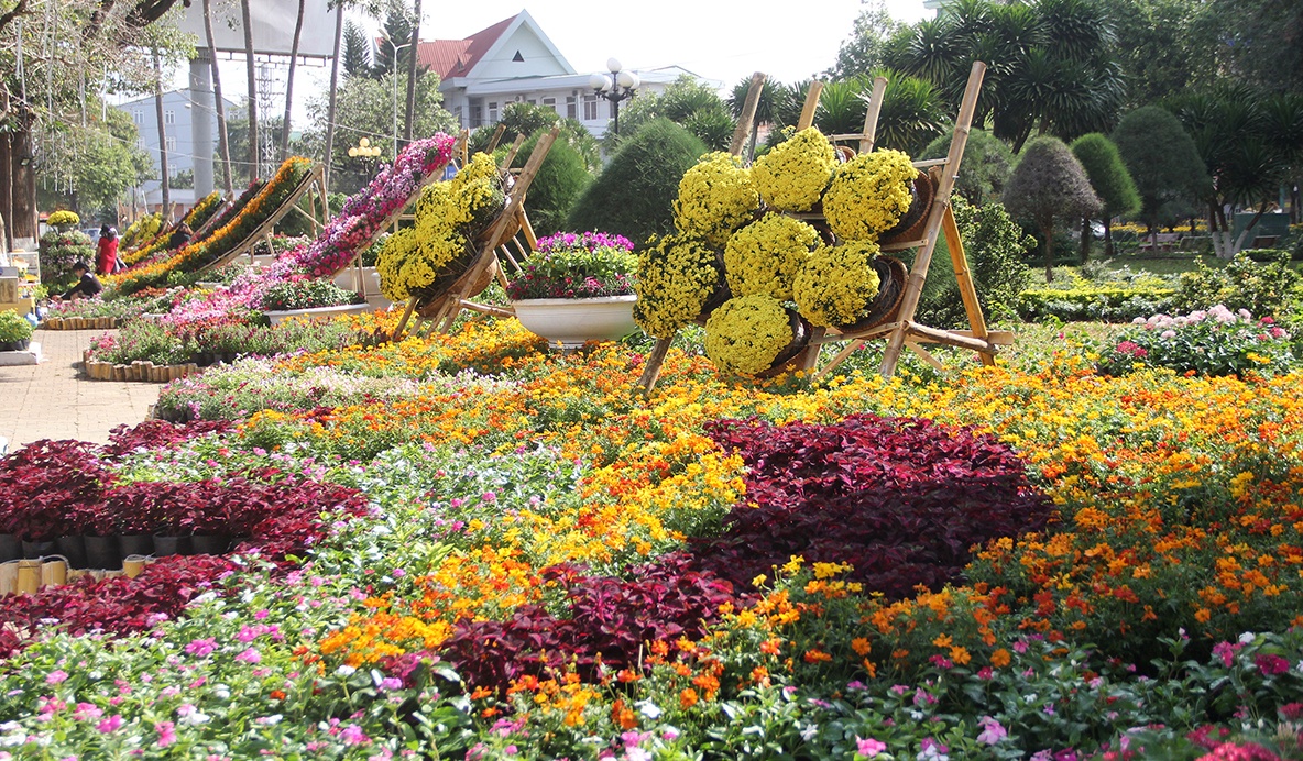 Duong hoa Dak Lak anh 1