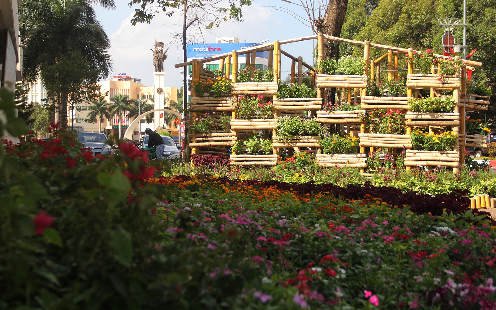 Duong hoa Dak Lak anh 8