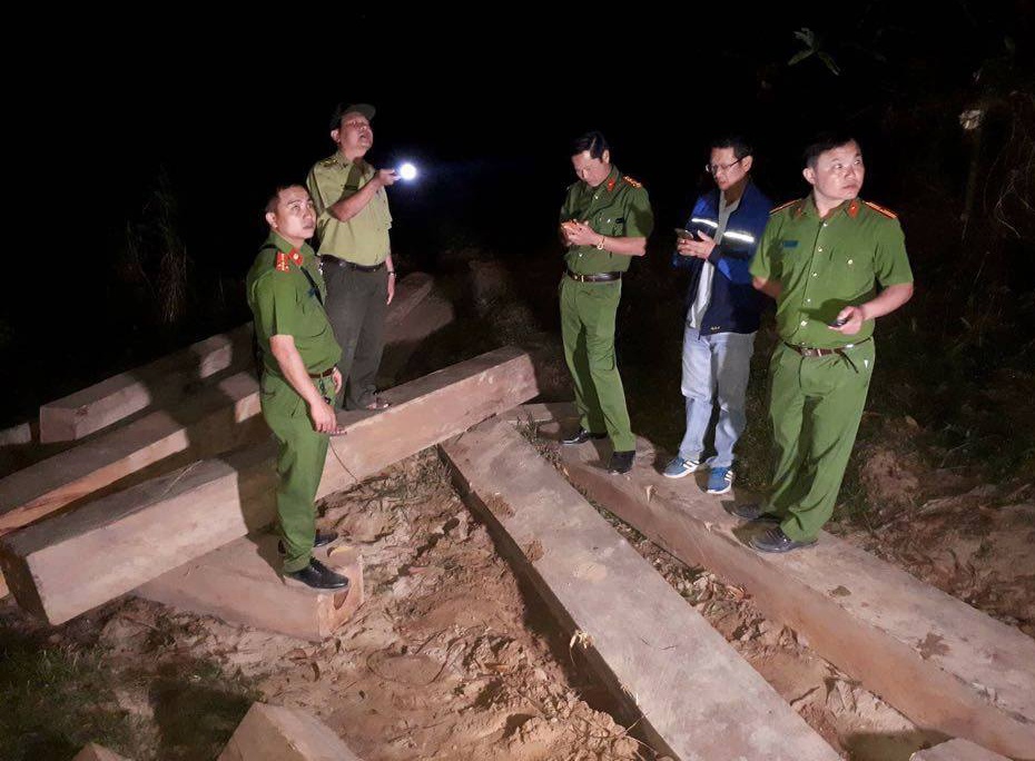 Nhiều xe chở gỗ lậu ảnh 1 Nhieu xe cho go lau anh 1
