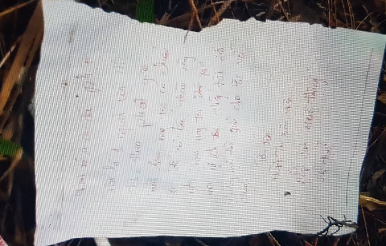 Nghi van co gai de lai thu tuyet menh roi tu thieu hinh anh