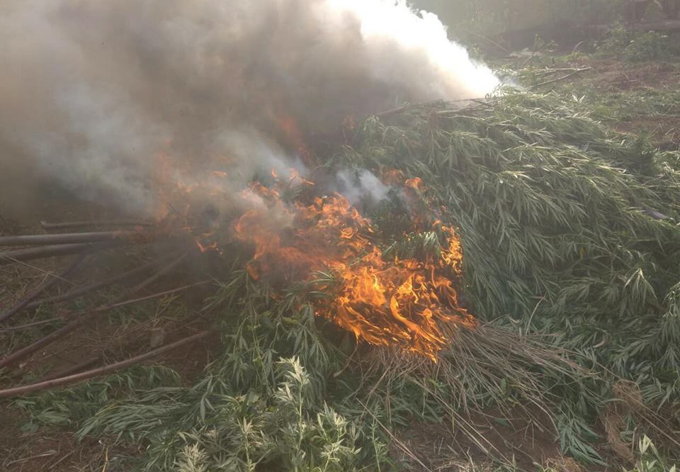 Nam thanh nien trong hon 5 sao can sa trong ray hinh anh