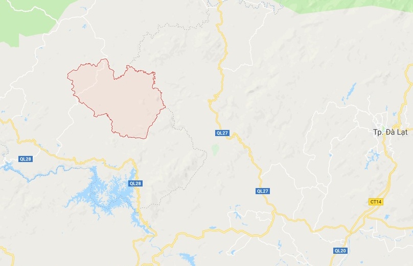 Trồng cần sa ảnh 2 Trong can sa anh 2