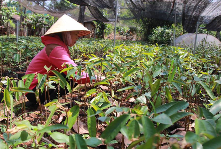 Hieu truong an bot luong giao vien anh 1