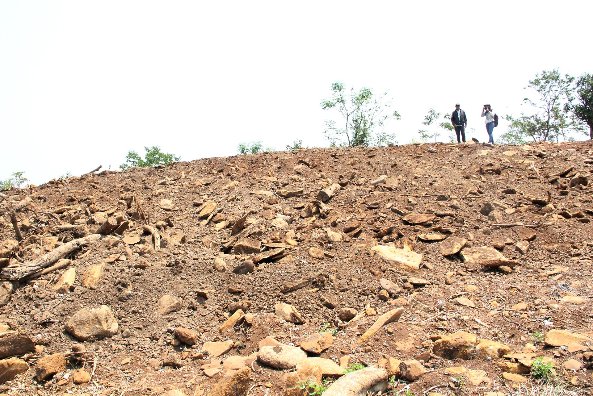 Cay khung cho tren quoc lo anh 3