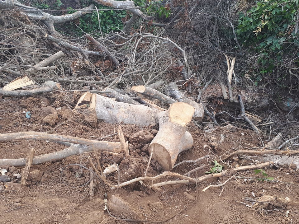 Ba cay khung cho tren quoc lo1 anh 2