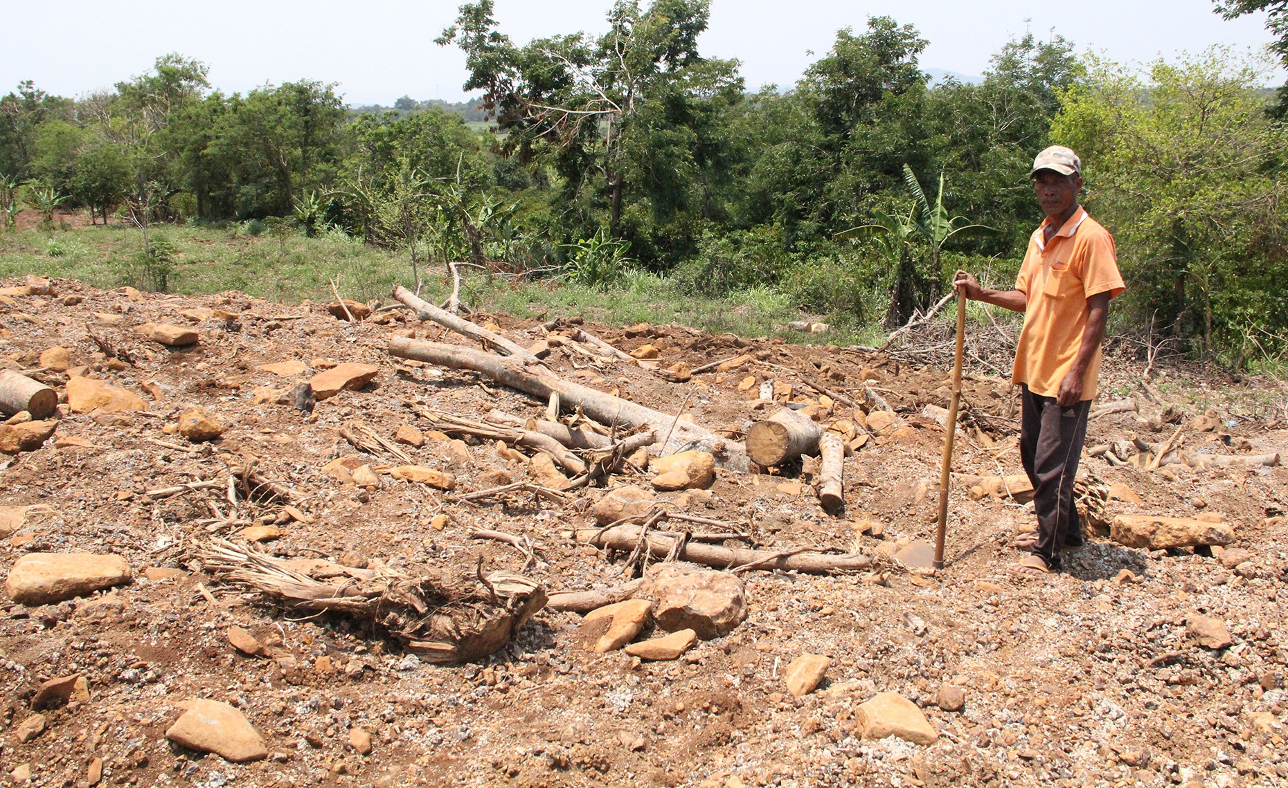 Ba cay khung bi tam giu anh 3