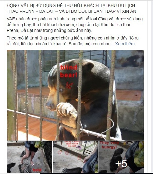 Dong vat hoang da bi nguoc dai anh 1