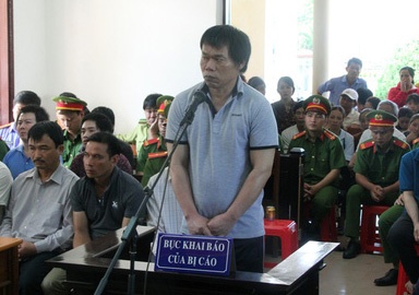 Khai thác gỗ lậu ảnh 1 Khai thac go lau anh 1