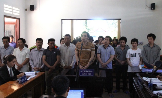 Khai thác gỗ lậu ảnh 2 Khai thac go lau anh 2